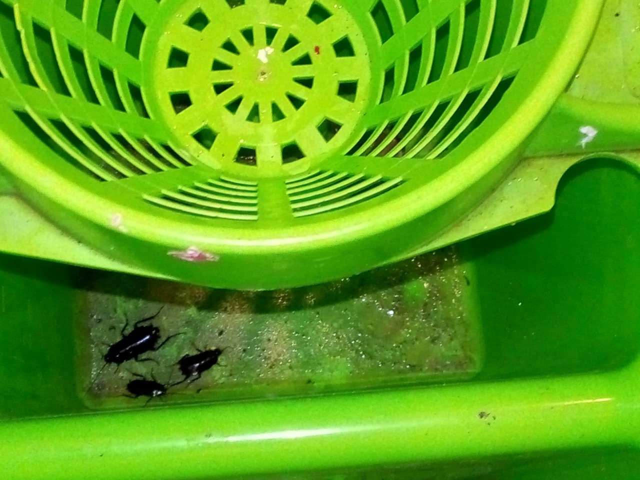 Blitz della Polizia locale in appartamento affollato a Monza