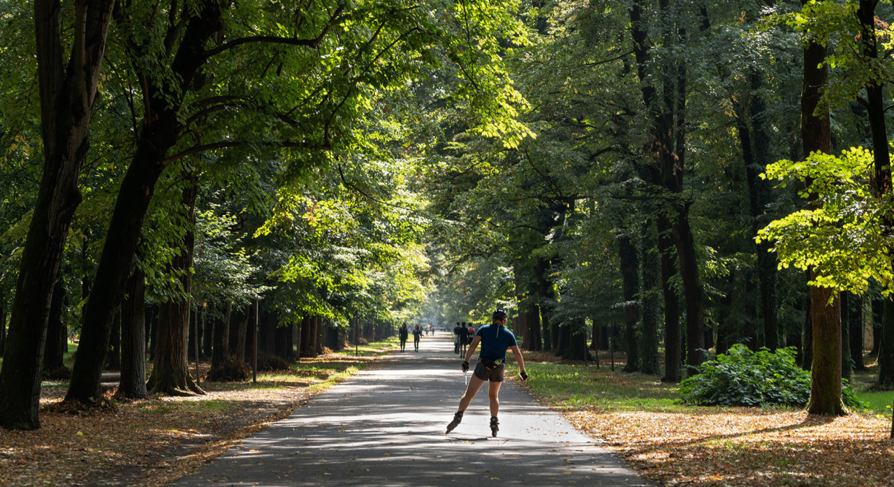 Chiusura di Parco e cimiteri a causa del vento