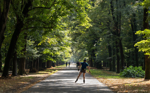 Chiusura di Parco e cimiteri a causa del vento