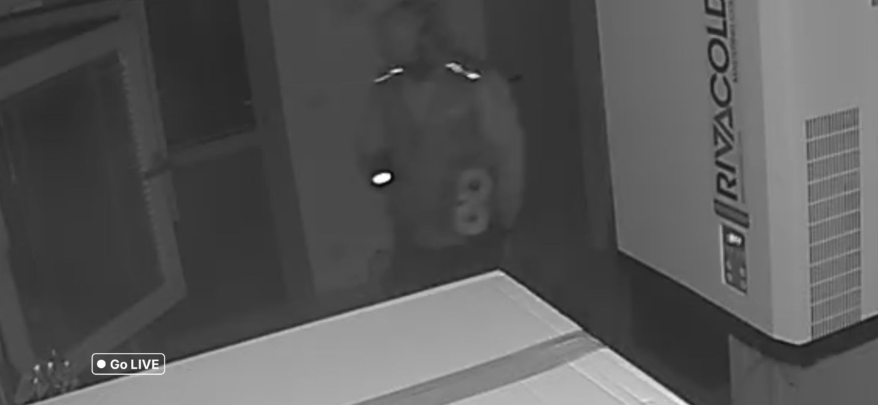 Colpo alla Fondazione Tavecchio: rubati beni per 5mila euro