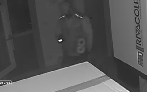 Colpo alla Fondazione Tavecchio: rubati beni per 5mila euro