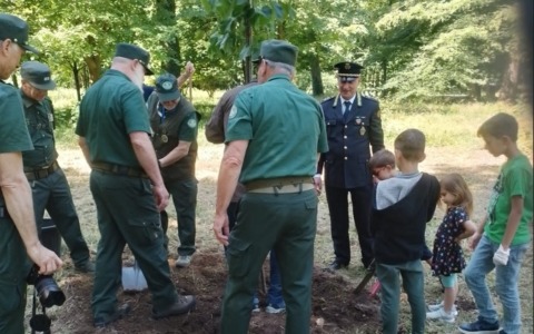 Rifiuti e tutela ambientale: bilancio delle Gev di Monza