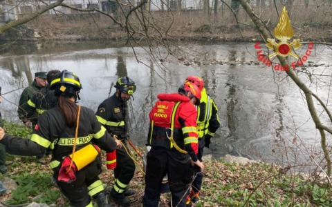 Salvato un airone in difficoltà dai Vigili del Fuoco
