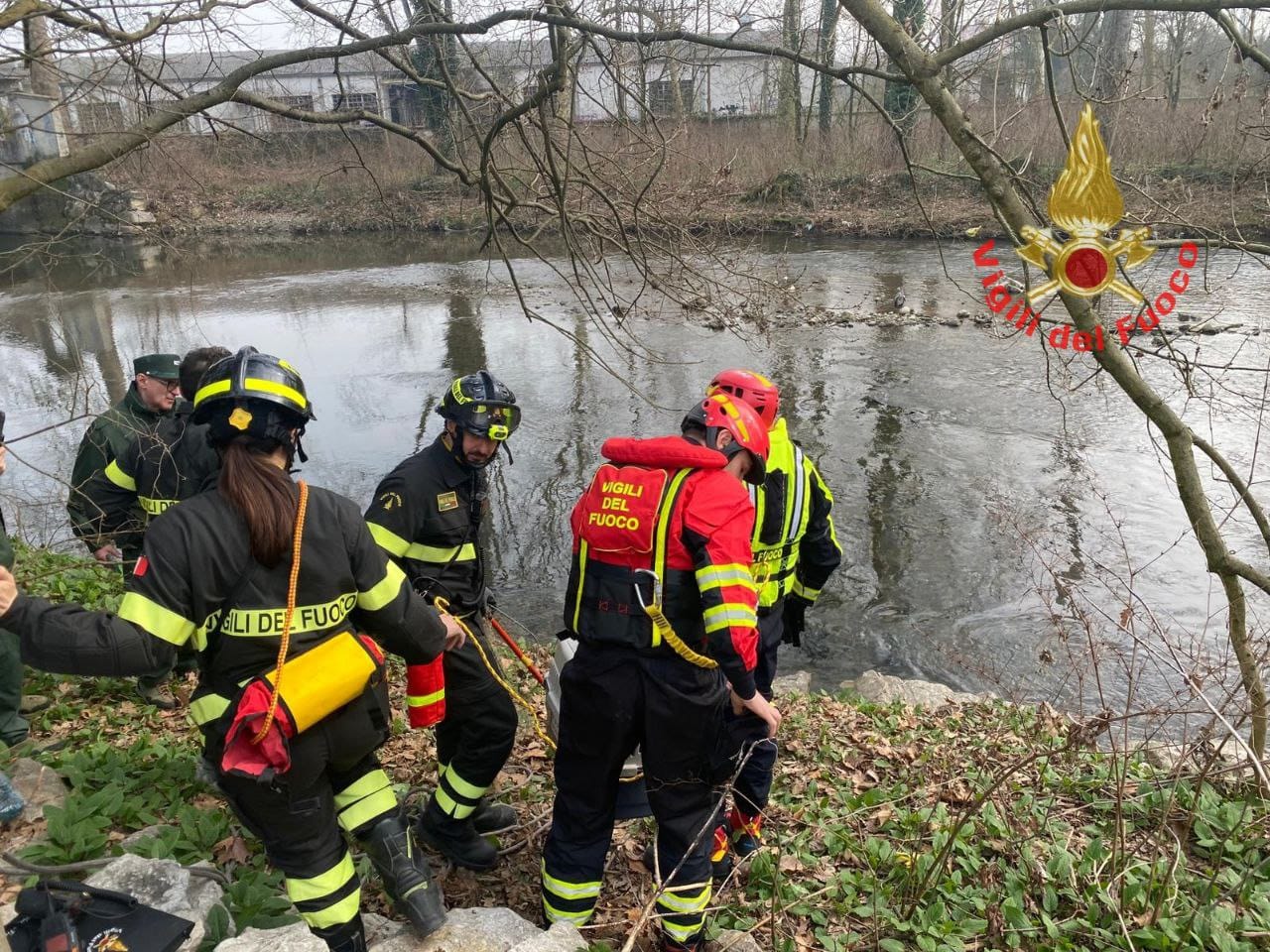 Salvato un airone in difficoltà dai Vigili del Fuoco