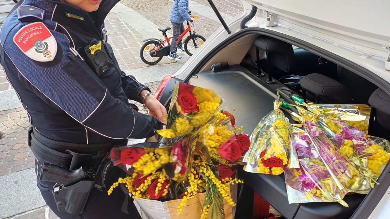 Sequestro di 238 mazzi di mimose e sanzioni per oltre 33mila euro