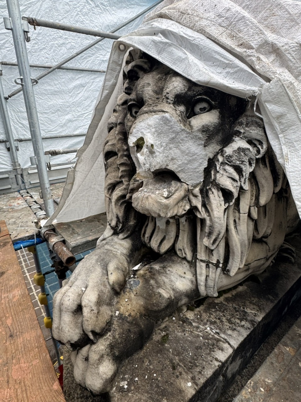 Cifre elevate per il restauro dei Leoni danneggiati a Monza