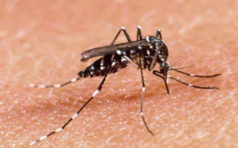 Il cambiamento climatico e le malattie infettive