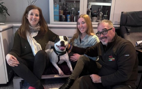 Il percorso di adozione di Snookie: da canile a casa