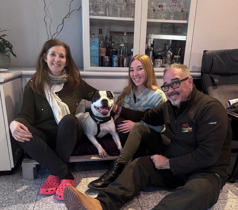 Il percorso di adozione di Snookie: da canile a casa