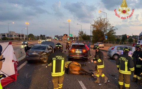 Incidente in Valassina: un cavallo morto e cinque feriti