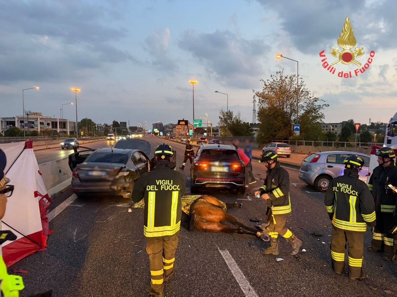 Incidente in Valassina: un cavallo morto e cinque feriti