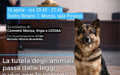 Incontro sulla Legge Brambilla e impatti in Brianza