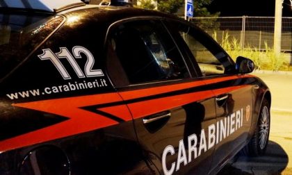 Scoperta di marijuana e serre artigianali durante un intervento dei Carabinieri