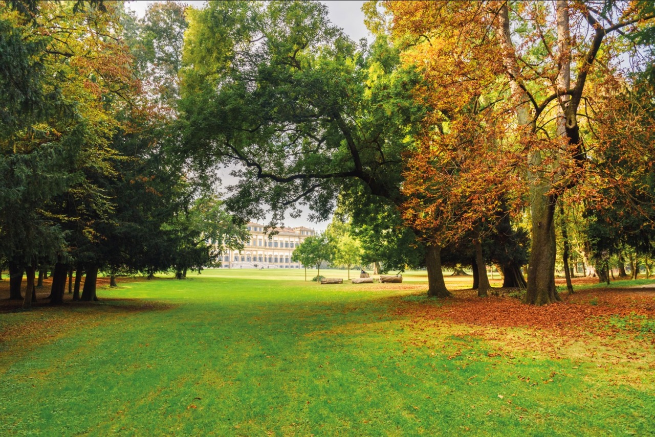 Chiusura del Parco e dei Giardini Reali per vento forte martedì