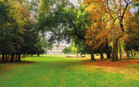 Chiusura del Parco e dei Giardini Reali per vento forte martedì
