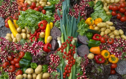 Nasce la sinergia tra ATS e Banco Alimentare per ridurre gli sprechi