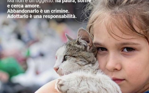 “Non buttarlo via. Non è un rifiuto”: Enpa promuove la campagna di sensibilizzazione per le Giornate Antiabbandono