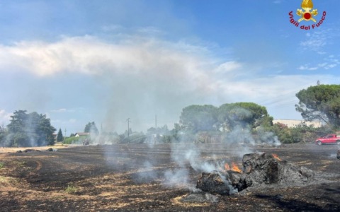 Incendi nei campi in Provincia di Monza e Brianza